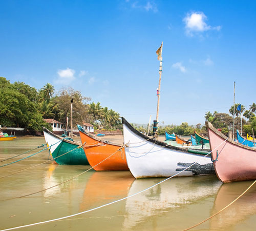 Fun Family Trip to Goa